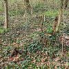 04 Aktion April 25 Feen und Wichtelwald